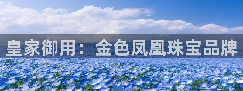 新宝5下载app