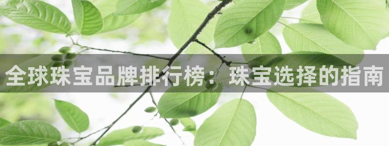 新宝5官方下载地址