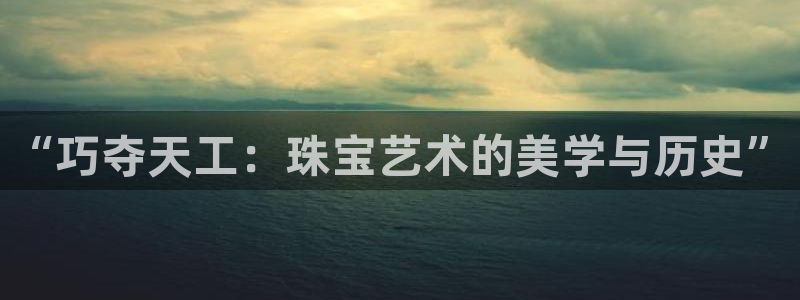 新宝5安卓版