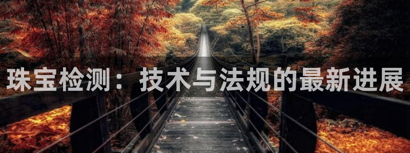新宝b2O5O5O