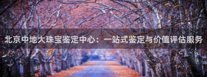 新宝5娱乐经：北京中地大珠宝鉴定中心：一站式鉴定与价值评估服务