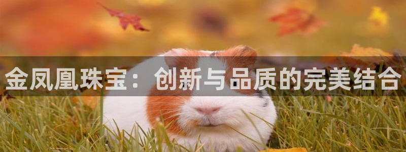 新宝5-测速：金凤凰珠宝：创新与品质的完美结合