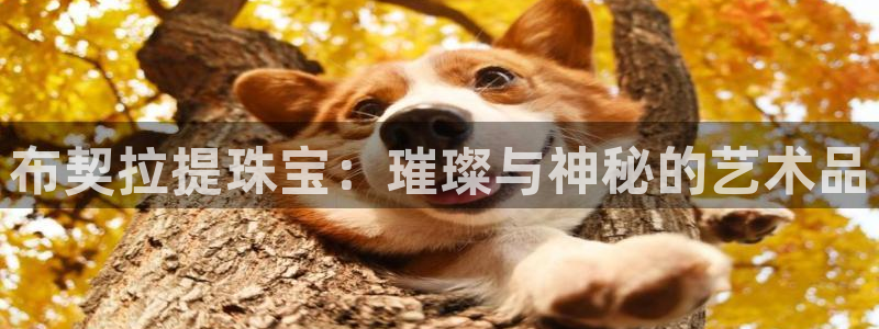 新宝5测速平台登录：布契拉提珠宝：璀璨与神秘的艺术品