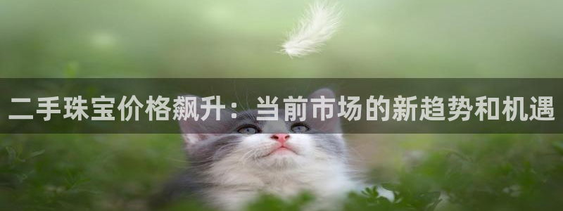 新宝股东王听2 5 5：二手珠宝价格飙升：当前市场的新趋势和机遇