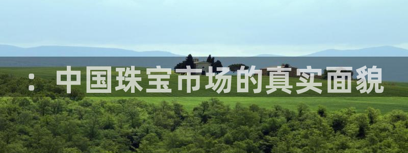 新宝5怎么下载到桌面：：中国珠宝市场的真实面貌