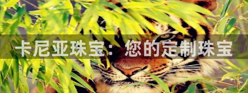 新宝5娱乐：卡尼亚珠宝：您的定制珠宝