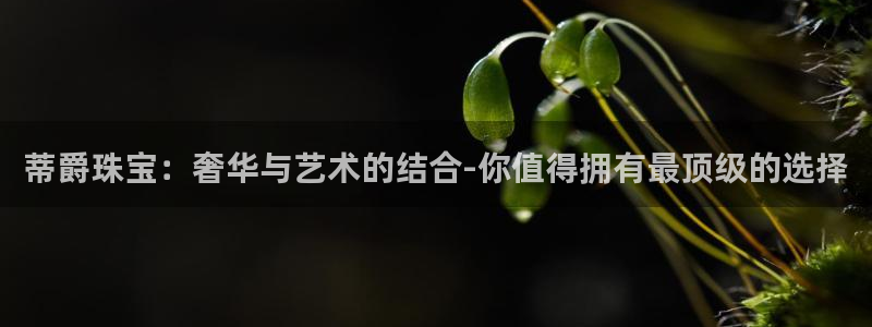 新宝堂新会陈皮5年：蒂爵珠宝：奢华与艺术的结合-你值得拥有最顶级的选择