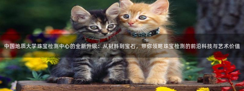 新宝股东王听2 5 5：中国地质大学珠宝检测中心的全新升级：从材料到宝石，带你领