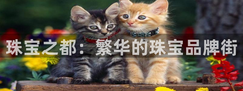 新宝5娱乐方：珠宝之都：繁华的珠宝品牌街