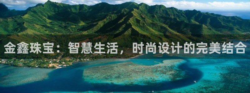 新宝h2O5O5O：金鑫珠宝：智慧生活，时尚设计的完美结合