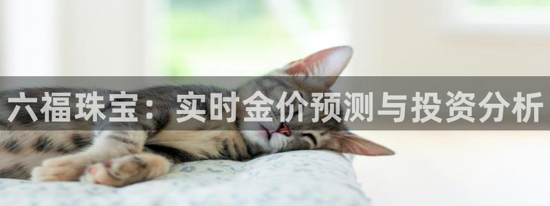 新宝5飞355051：六福珠宝：实时金价预测与投资分析
