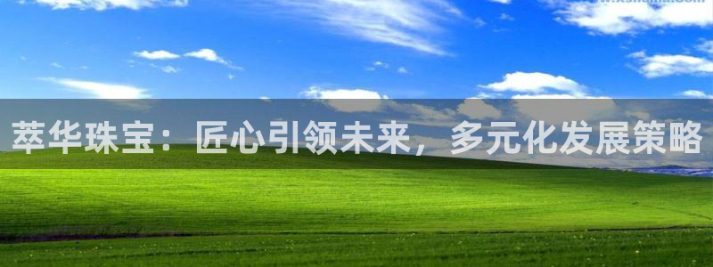 新宝5平台登录注册：萃华珠宝：匠心引领未来，多元化发展策略