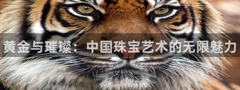 新宝5郑74OOO5：黄金与璀璨：中国珠宝艺术的无限魅力