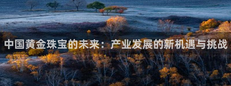 新宝5手机版：中国黄金珠宝的未来：产业发展的新机遇与挑战