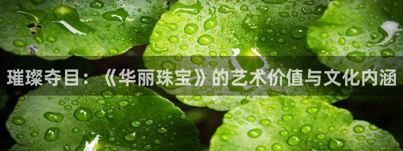 新5宝：璀璨夺目：《华丽珠宝》的艺术价值与文化内涵