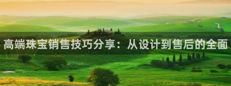 新宝5登录注册：高端珠宝销售技巧分享：从设计到售后的全面
