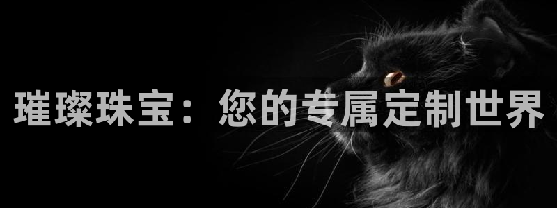 新宝5官方下载地址：璀璨珠宝：您的专属定制世界