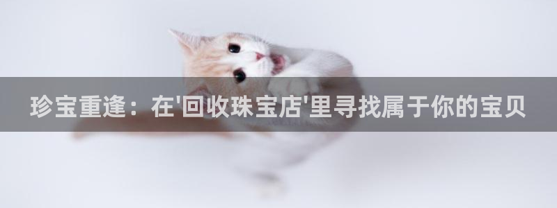 新宝5代理注册：珍宝重逢：在\'回收珠宝店\'里寻找属于你的宝贝