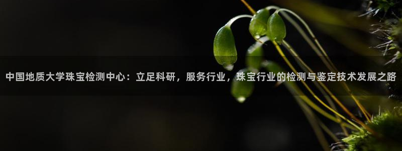 新宝5登陆：中国地质大学珠宝检测中心：立足科研，服务行业，珠宝行业的检测与鉴定技