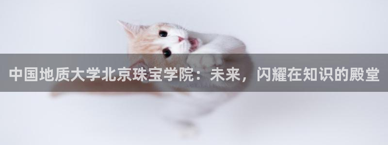 新宝5娱乐方：中国地质大学北京珠宝学院：未来，闪耀在知识的殿堂