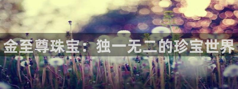 新宝j2O5O5O：金至尊珠宝：独一无二的珍宝世界