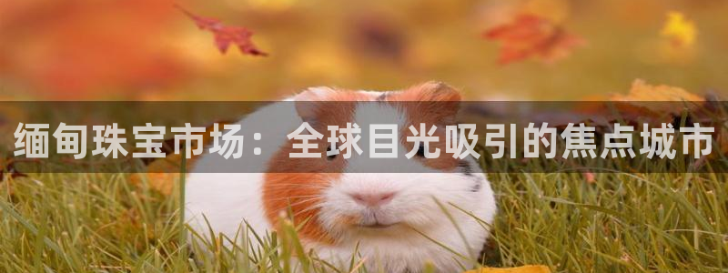 新宝5后：缅甸珠宝市场：全球目光吸引的焦点城市
