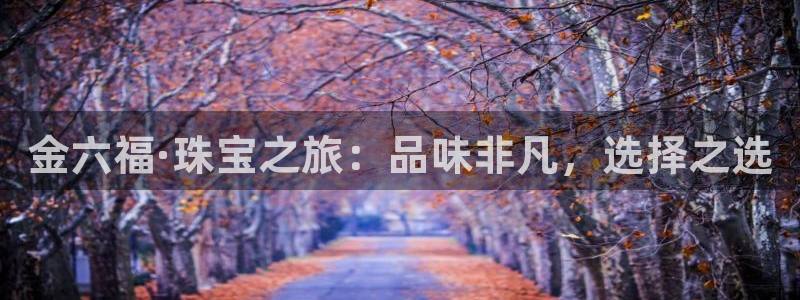 新宝5 注册：金六福·珠宝之旅：品味非凡，选择之选