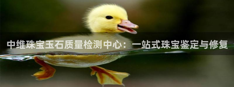 新宝5电脑