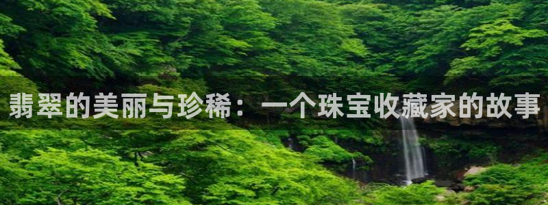 新宝新5：翡翠的美丽与珍稀：一个珠宝收藏家的故事