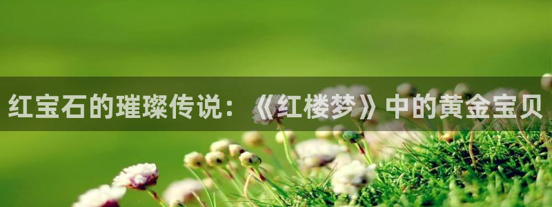 新宝5谠631257：红宝石的璀璨传说：《红楼梦》中的黄金宝贝