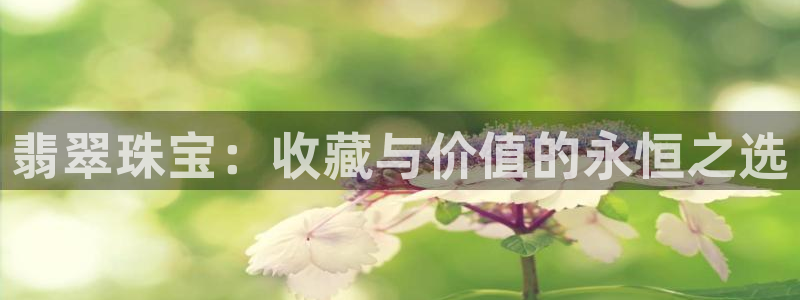 新宝5下载网址：翡翠珠宝：收藏与价值的永恒之选