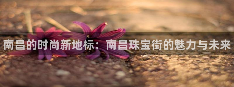 新宝5现在还能玩吗：南昌的时尚新地标：南昌珠宝街的魅力与未来