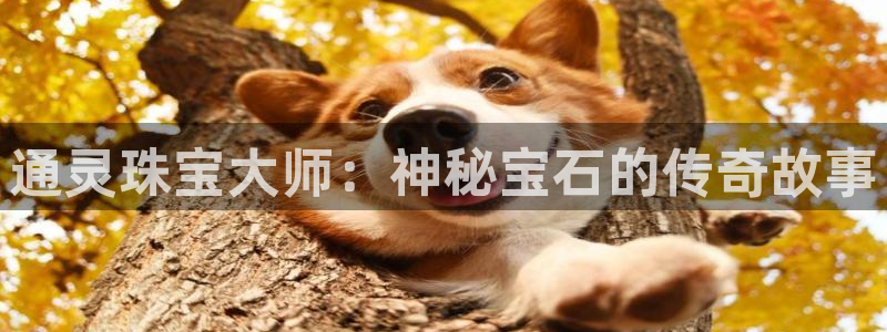新宝5秒开：通灵珠宝大师：神秘宝石的传奇故事