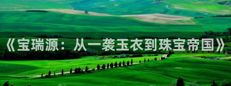 新宝5下载测试：《宝瑞源：从一袭玉衣到珠宝帝国》