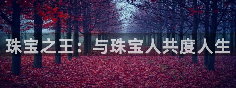 新宝5日谢29999：珠宝之王：与珠宝人共度人生
