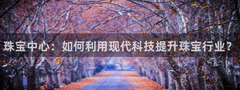新宝5注册：珠宝中心：如何利用现代科技提升珠宝行业？