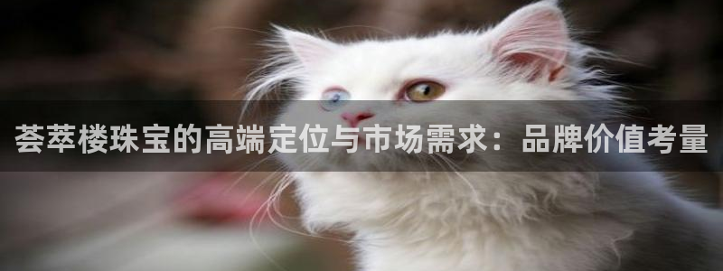 i新宝5：荟萃楼珠宝的高端定位与市场需求：品牌价值考量