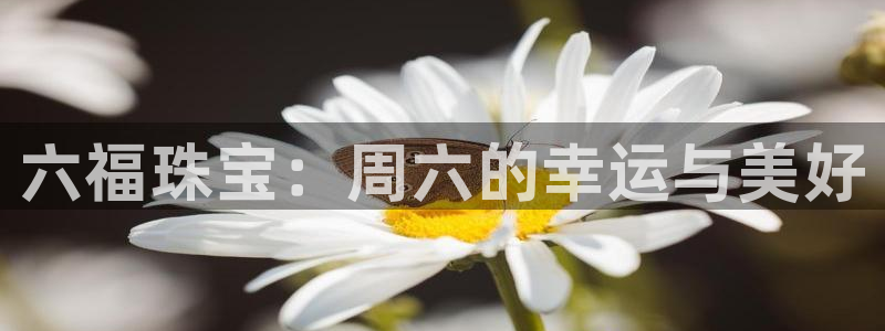 新宝5苹果手机下载：六福珠宝：周六的幸运与美好