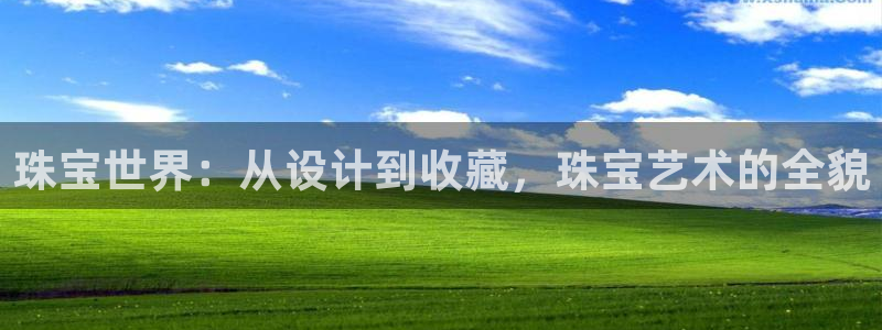 新宝b2O5O5O：珠宝世界：从设计到收藏，珠宝艺术的全貌