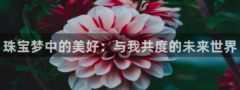 新宝5是什么样子的：珠宝梦中的美好：与我共度的未来世界
