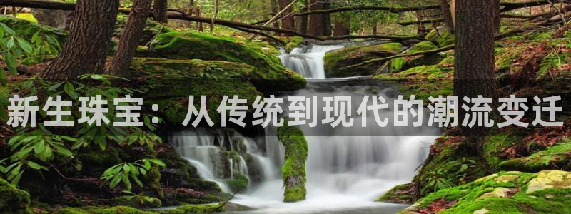 新宝G5：新生珠宝：从传统到现代的潮流变迁