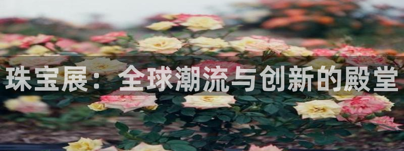 新宝5球维33 300：珠宝展：全球潮流与创新的殿堂