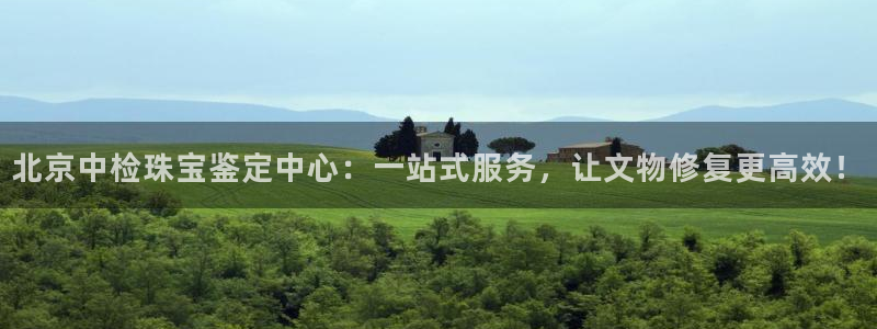 新宝5测试：北京中检珠宝鉴定中心：一站式服务，让文物修复更高效！
