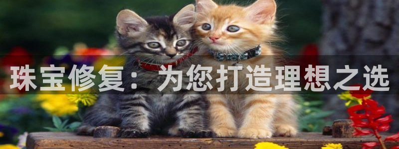 新宝5线路登录检测：珠宝修复：为您打造理想之选