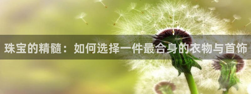 新宝5手机下载：珠宝的精髓：如何选择一件最合身的衣物与首饰