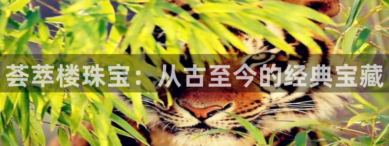 新宝5d：荟萃楼珠宝：从古至今的经典宝藏