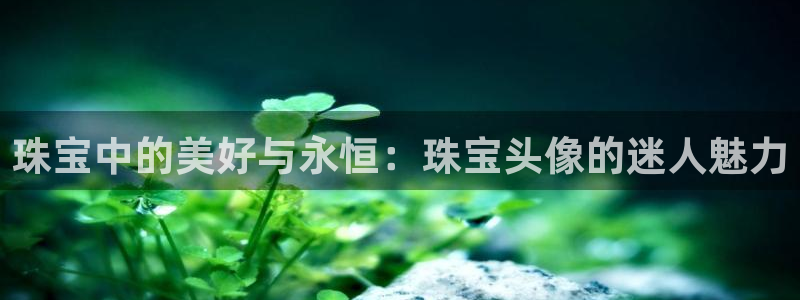 新宝股东瞧听2 5 5：珠宝中的美好与永恒：珠宝头像的迷人魅力