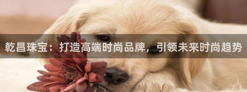 新宝5天：乾昌珠宝：打造高端时尚品牌，引领未来时尚趋势