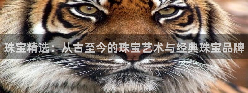 新宝5登录网址：珠宝精选：从古至今的珠宝艺术与经典珠宝品牌
