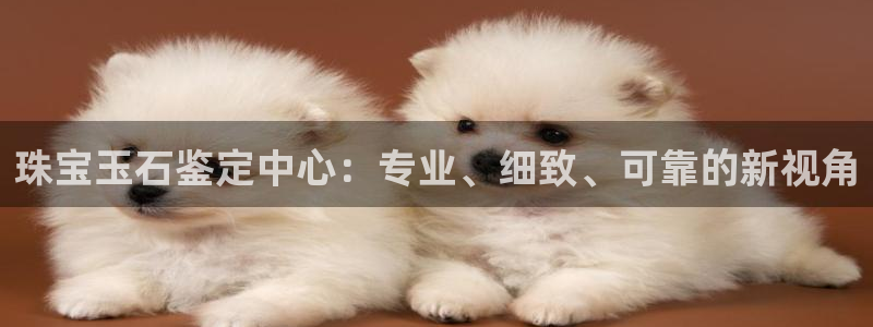 新宝5湫333 00：珠宝玉石鉴定中心：专业、细致、可靠的新视角